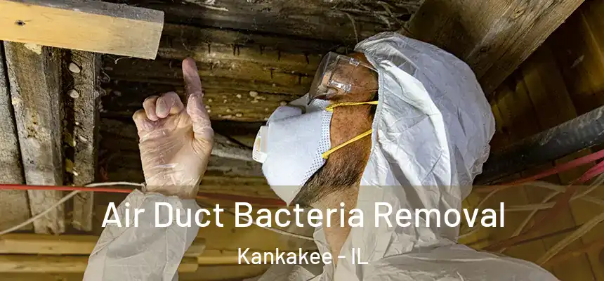  Air Duct Bacteria Removal Kankakee - IL