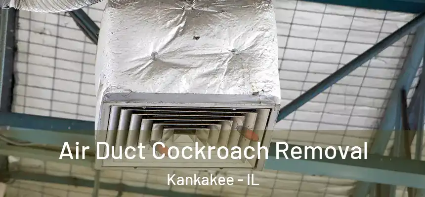  Air Duct Cockroach Removal Kankakee - IL