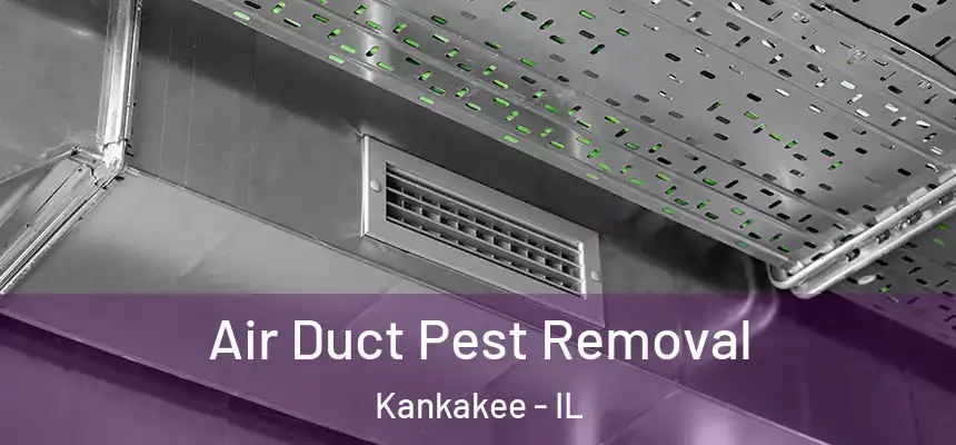 Air Duct Pest Removal Kankakee - IL