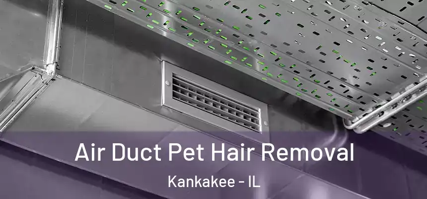  Air Duct Pet Hair Removal Kankakee - IL