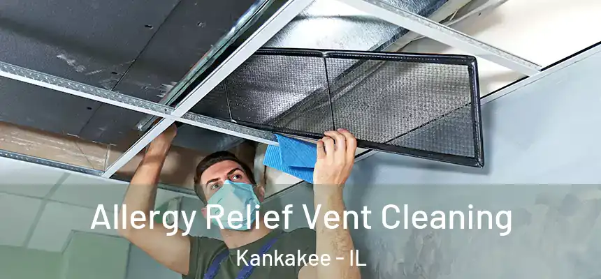  Allergy Relief Vent Cleaning Kankakee - IL