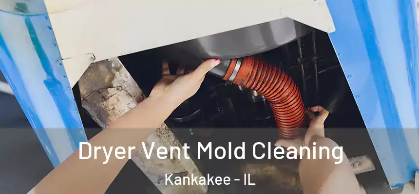  Dryer Vent Mold Cleaning Kankakee - IL