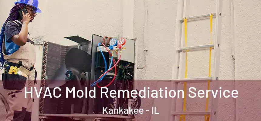 HVAC Mold Remediation Service Kankakee - IL