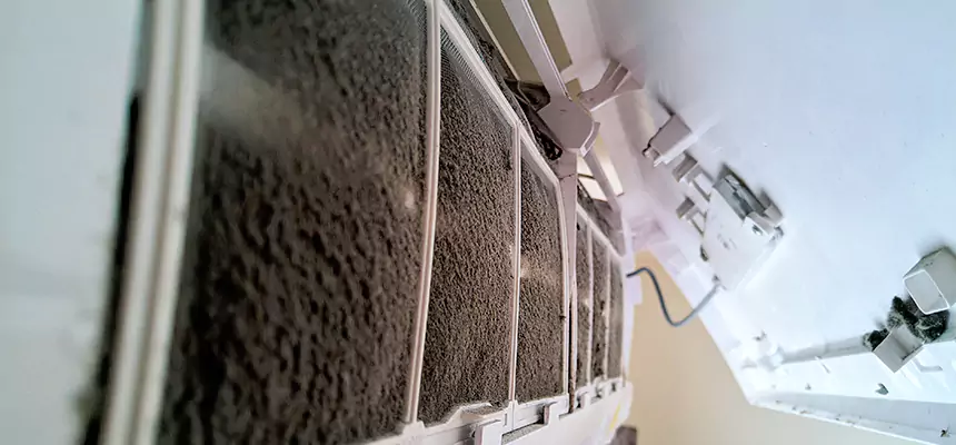 Preventive Air Duct Bacteria Removal in Kankakee