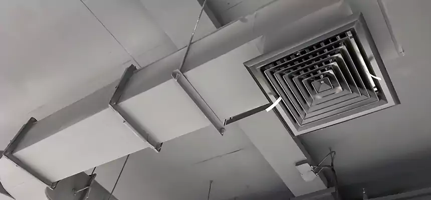 Restorative Allergy Relief Vent Cleaning – Coil, Blower & Housing Detail in Kankakee