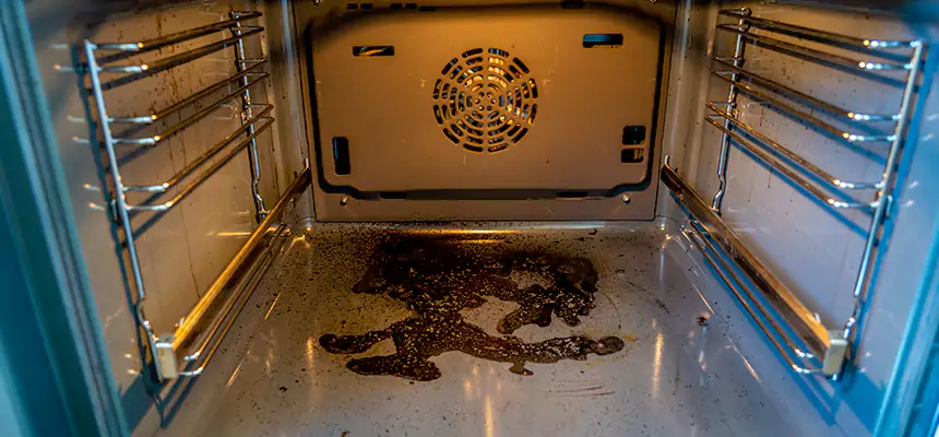 Our Dryer Vent Mold Cleaning Services in Kankakee, IL