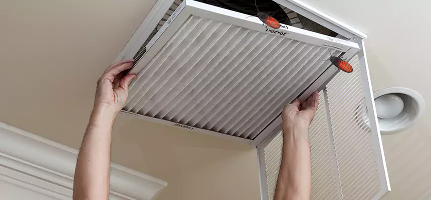 Our Insect Removal from Air Ducts Services in Kankakee, IL