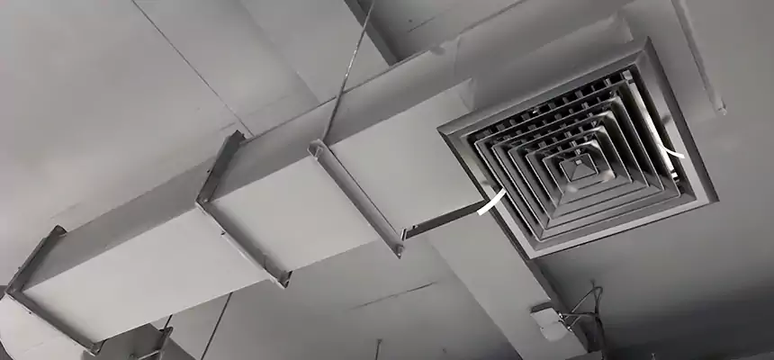 Our Pest Removal From Ducts Services in Kankakee, IL