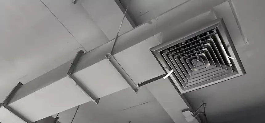 Our Rodent Droppings In Vents Services in Kankakee, IL