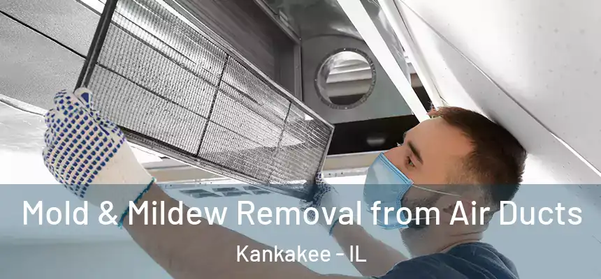  Mold & Mildew Removal from Air Ducts Kankakee - IL