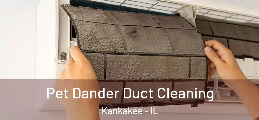  Pet Dander Duct Cleaning Kankakee - IL