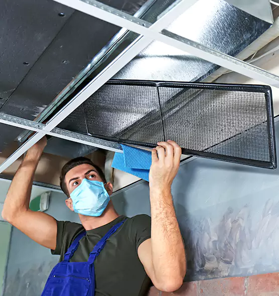 About Air Duct Bacteria Removal in Kankakee
