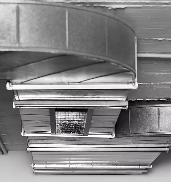 Professional Air Duct Pest Removal in Kankakee, IL