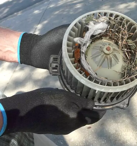 About Air Duct Rat Removal in Kankakee, IL