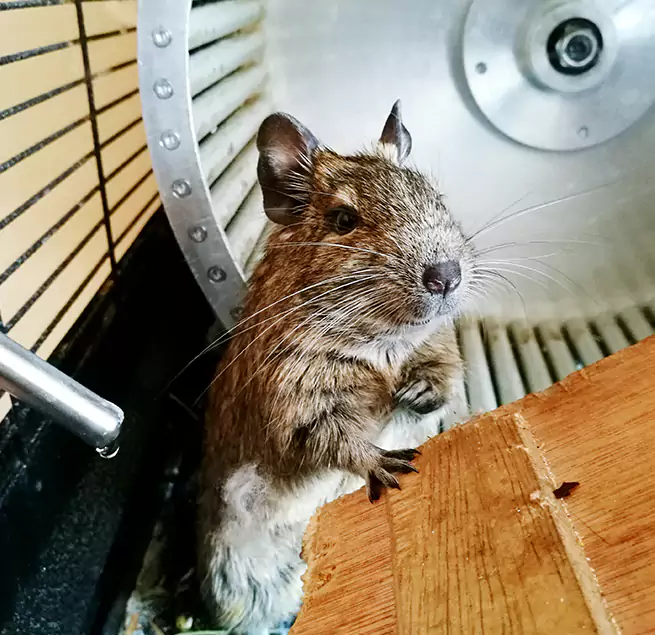 Why Homeowners & Businesses Trust Us Kankakee, IL